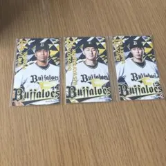 Item thumbnail for item 16884b1a-d60b-4689-9268-dc6e22b629d5