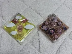こびとづかん マルチケース 2種セット ホトケアカバネ＆カクレケダマ