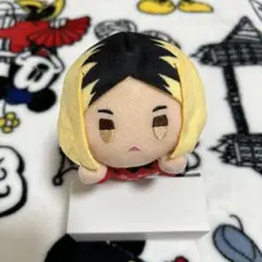 ハイキュー‼︎　音駒　孤爪研磨　ぬいぐるみ