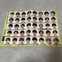 ジャニーズJr. 80人 データカード MYOJO