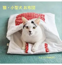 Item thumbnail for item b6e4a2b9-3607-41d8-9c16-594d5bfa841c