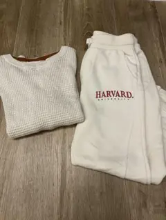 Item thumbnail for item 227a6429-4f2b-4b2f-a786-d83cf9a00631