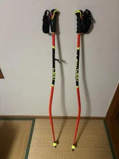 2026年最新】LEKI スキー ストックの人気アイテム - メルカリ