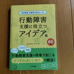 知的障害・自閉症のある人への行動障害支援に役立つアイデア集65例