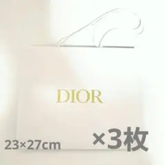 DIORショッパー　9枚