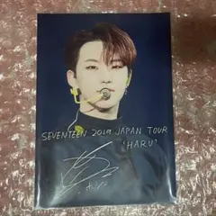SEVENTEEN ホシ HOSHI ネットプリント ネップリ HARU
