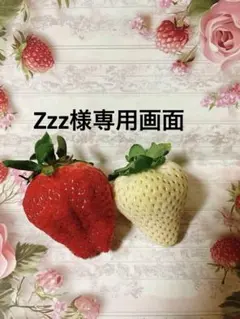 Zzz様 リクエスト 2点 まとめ商品