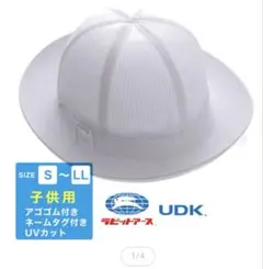 Item thumbnail for item 5a258855-abd3-4c69-85a6-2eb7a426f0eb