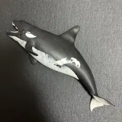 シャチ　ブックレット くじら　&co デアゴスティーニ　アンドコのサムネイル