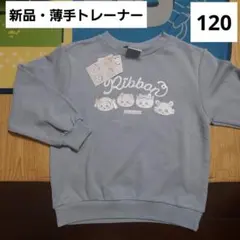 Item thumbnail for item 42e782ef-a7ee-4093-93d3-3f61231d5da5