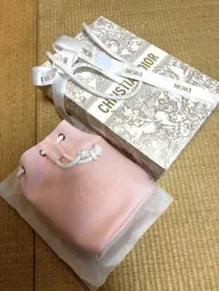 Dior ロゴ入りピンクポーチ 袋付き