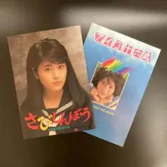 映画パンフレット　富田靖子セット