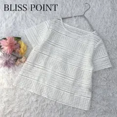 【L】ブリスポイント　半袖Tシャツ　レース編み　ボーダー　ホワイト　白　きれいめのサムネイル