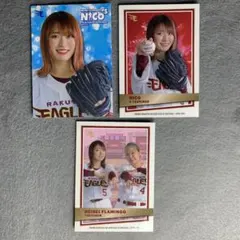 楽天イーグルスチップ 平成フラミンゴver トレカ 平フラ 4枚セット ②