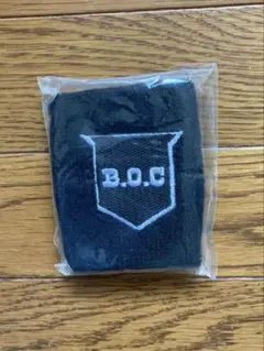 bump of chicken リストバンド