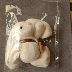 チャングンソク　うさぎキーホルダー