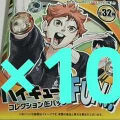 新品未開封　10点　ハイキュー!!　ファンパーク　コレクション缶バッジ　FUN