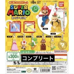 スーパーマリオ めじるしアクセサリー2 コンプリート　コンプ