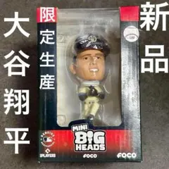 大谷翔平 スポーツ