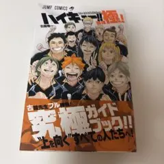 2026年最新】ファイナルガイドブック排球極の人気アイテム - メルカリ