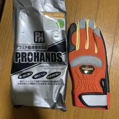 Item thumbnail for item 8a8fecb1-5f75-4abe-aac1-dd6d4ca90853