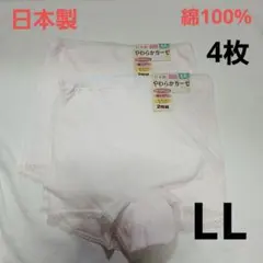 Item thumbnail for item b90a3233-981c-4fa0-b309-42174379e93e