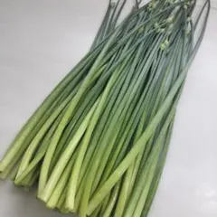 韮の花　700gのサムネイル