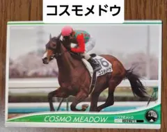 Item thumbnail for item c33087a8-fd95-4c18-932d-287b8a69e1fd