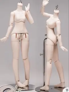 KIMDOLL ボディ 1/4ドール サイズ MDD セミホワイト ドールボディ 