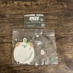 RIIZE ガチャガチャ シャカシャカアクリルチャーム アントン