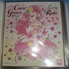 プリキュア色紙5枚セット