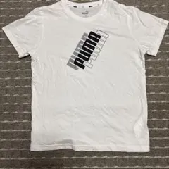 PUMA ホワイト Tシャツ 150サイズ