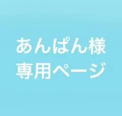 専用ページ