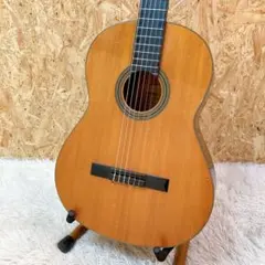 2025年最新】YAMAHA G-60の人気アイテム - メルカリ