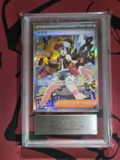 2025年最新】シリーズ：スカーレット&バイオレット ポケモン