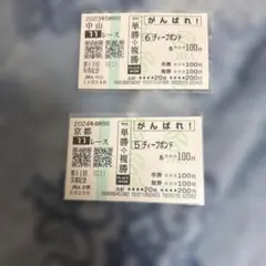 ディープボンド　宝塚記念　有馬記念　現地馬券