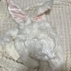 Item thumbnail for item 3e758b68-a149-40d2-a279-ce8b78a5e6fb