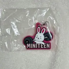 MINITEEN ガチャ　エスクプス