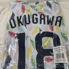 SWALLOWS LADIES DAY 2025 ユニフォーム 奥川恭伸