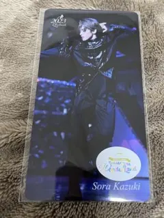 Item thumbnail for item ca5c077e-9b9c-4c8c-8242-e5fc93fd7c0e