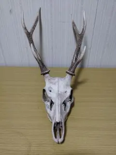 ハンティングトロフィー 鹿