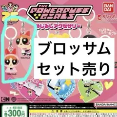 パワーパフガールズ めじるしアクセサリー　ブロッサムA.Bセット