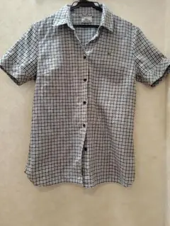 最終！【LACOSTE】ラコステ 新品 綿 コットン100 シャツ ブラウス