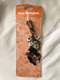 ディズニーリゾート限定　ミッキーマウス　キーホルダー