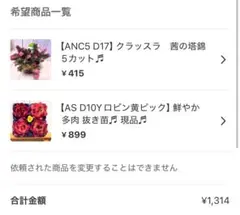 ルル☆様 リクエスト 2点 まとめ商品
