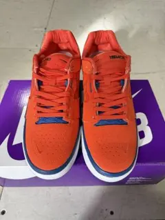 【新品】 NIKE NIKESB ナイキエスビー ISHOD アイショッド