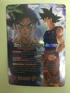 $レイシオン $様 リクエスト 2点 まとめ商品