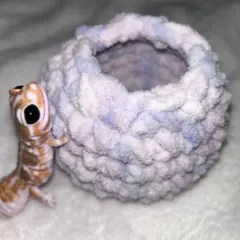 Item thumbnail for item 1c638b07-638e-4b91-94fa-26e4614b53fc