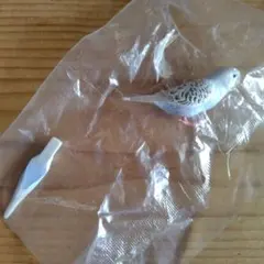 手のりインココレクション セキセイインコ シャイング