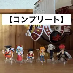 【コンプリート】ワンピの実　ワンピース